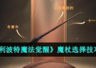 《哈利波特魔法觉醒飓风咒卡牌》（畅玩卡牌，享受无限乐趣；全新体验，重温经典之作）