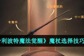 《哈利波特魔法觉醒飓风咒卡牌》（畅玩卡牌，享受无限乐趣；全新体验，重温经典之作）