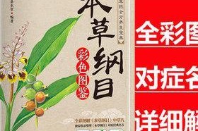 探寻茶元人生——以本茶纲目茶元图鉴为例（解锁茶元人物生平）