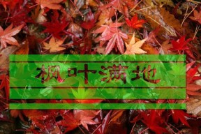 幻塔枫叶席卷玩法攻略（解锁新玩法）