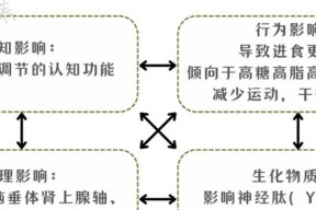 《我的世界》中的伊洛纳南瓜安慰药剂获取方法（《我的世界》中的伊洛纳南瓜安慰药剂获取方法）