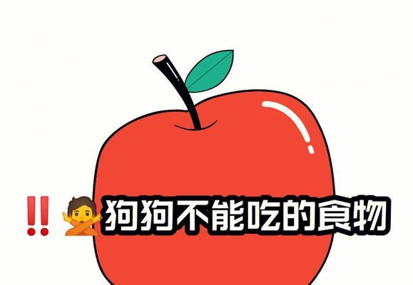 迷失岛里狗狗不吃骨头怎么办？（游戏中如何保证狗狗的健康饮食？）  第2张