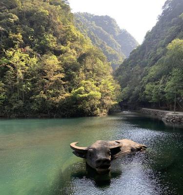 《探寻武义九州城村的游戏之旅》（跑出路线）  第3张