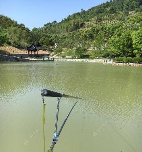 以挨饿荒野钓鱼攻略（在游戏中如何制作钓竿并掌握钓鱼技巧）  第2张