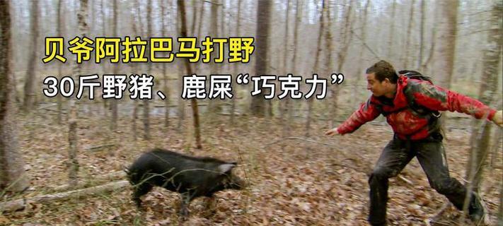 《荒野鹿狩猎指南》（快速捕捉鹿的高效技巧）  第2张