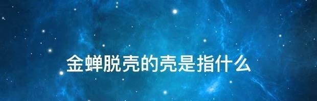 《百变大侦探金蝉脱壳剧本杀攻略》（让你成为最聪明的侦探）  第1张